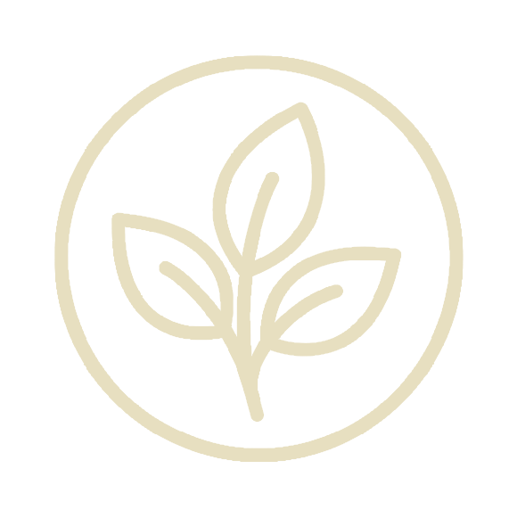 Beige leaf icon in a circle on a white background