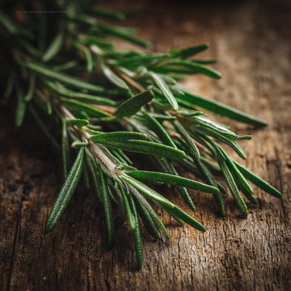 Rosemary